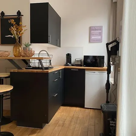 Apartment O P'tit Dom Lumineux Secteur J Jaures *